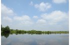 Property photo 10 - 1,025 Acres in 24 Tracts - Exellent Recreation Opportunity - Potential Building Sites - 11 Lakes & Ponds